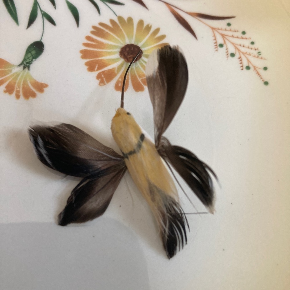 This hummingbird is made completely of feathers. Super light. So pretty.